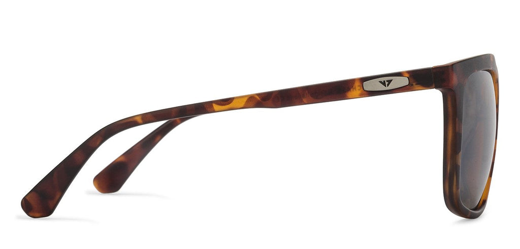 -Frame Wayfarer--SG -Frame Wayfarer--SG
