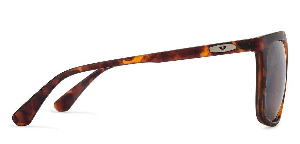 -Frame Wayfarer--SG -Frame Wayfarer--SG