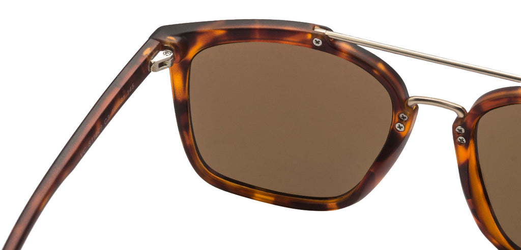 -Frame Wayfarer--SG -Frame Wayfarer--SG