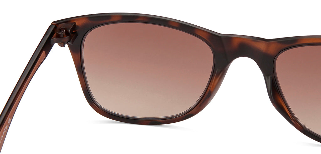 -Frame Rectangle--SG -Frame Rectangle--SG