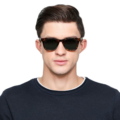 -Frame Wayfarer--SG -Frame Wayfarer--SG