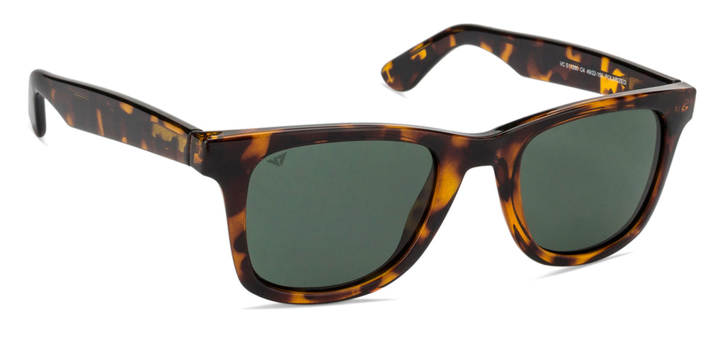 -Frame Wayfarer--SG -Frame Wayfarer--SG