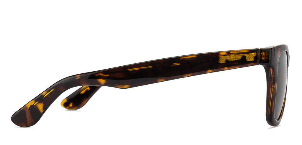 -Frame Wayfarer--SG -Frame Wayfarer--SG