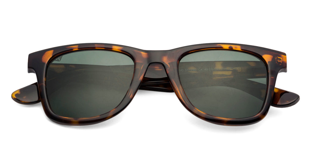 -Frame Wayfarer--SG -Frame Wayfarer--SG