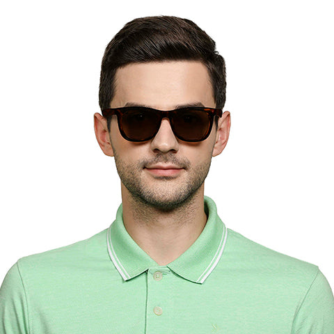 -Frame Wayfarer--SG -Frame Wayfarer--SG