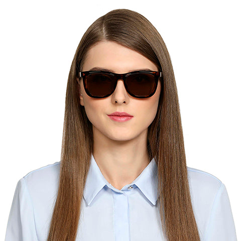 -Frame Wayfarer--SG -Frame Wayfarer--SG