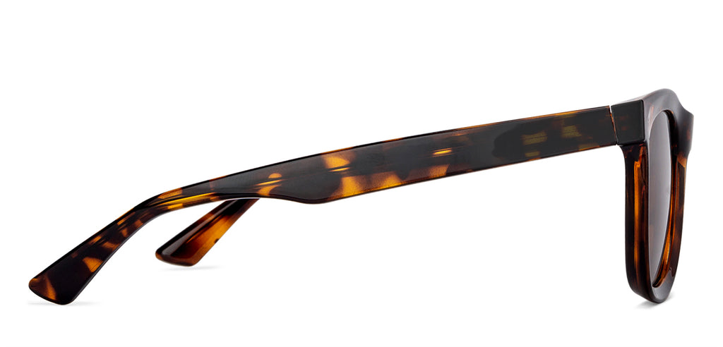 -Frame Wayfarer--SG -Frame Wayfarer--SG