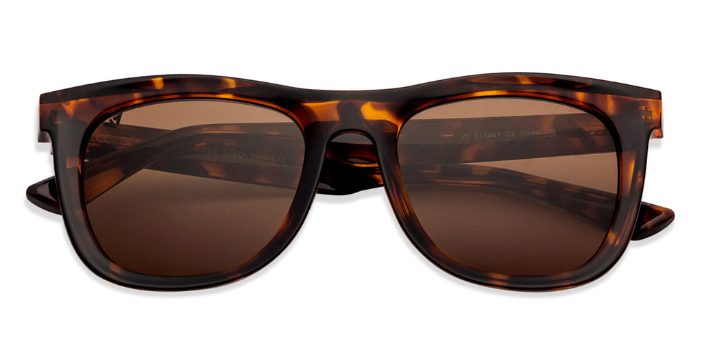 -Frame Wayfarer--SG -Frame Wayfarer--SG