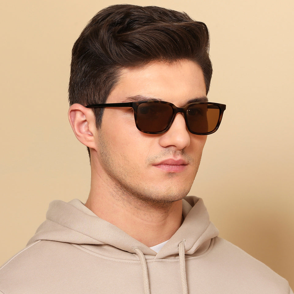 -Frame Wayfarer--SG -Frame Wayfarer--SG