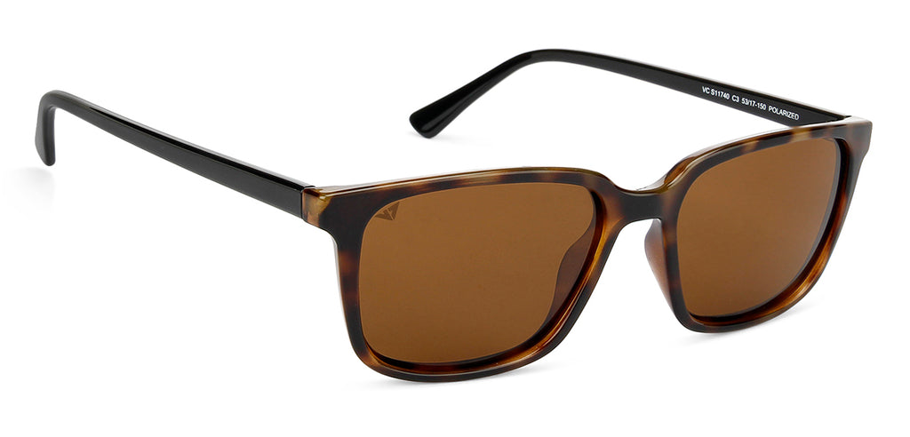 -Frame Wayfarer--SG -Frame Wayfarer--SG