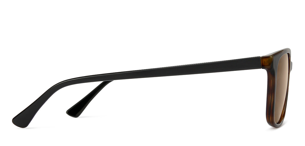 -Frame Wayfarer--SG -Frame Wayfarer--SG