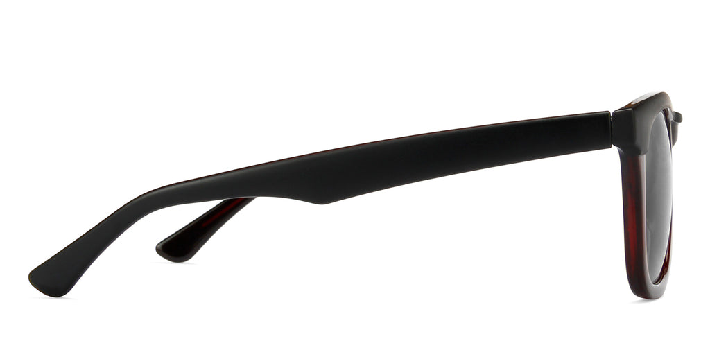 -Frame Wayfarer--SG -Frame Wayfarer--SG