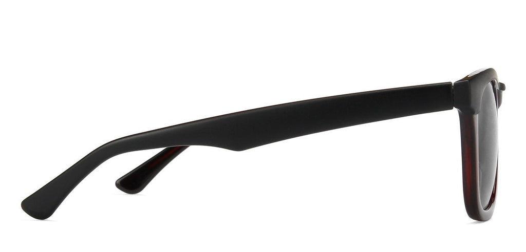 -Frame Wayfarer--SG -Frame Wayfarer--SG