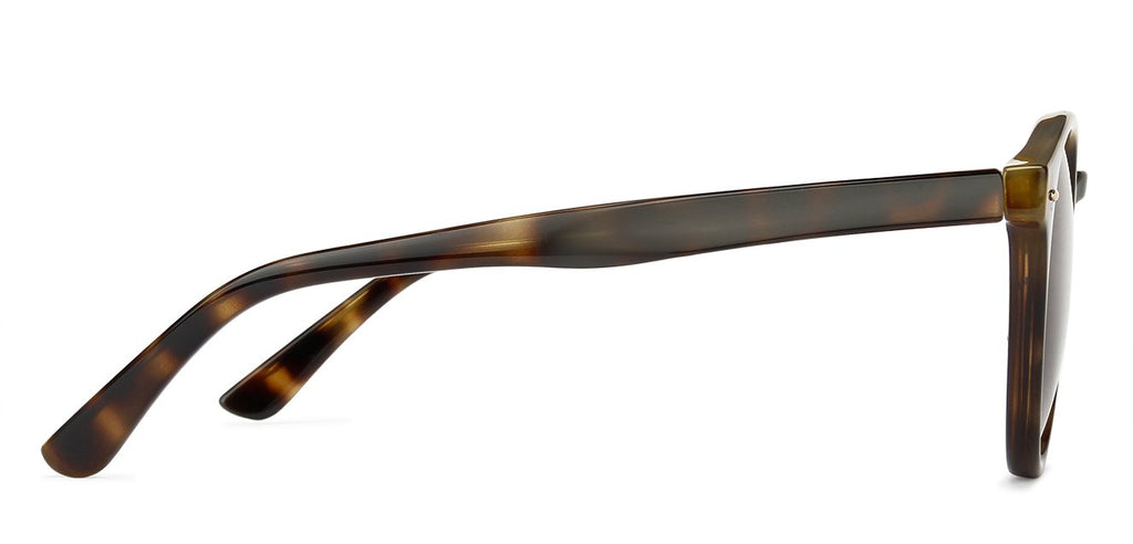 Sunglasses-Frame Round--SG Sunglasses-Frame Round--SG