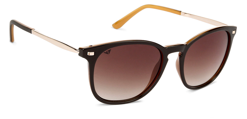 -Frame Wayfarer--SG -Frame Wayfarer--SG