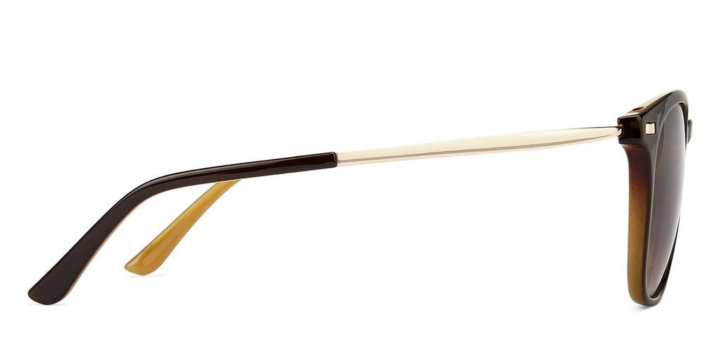 -Frame Wayfarer--SG -Frame Wayfarer--SG