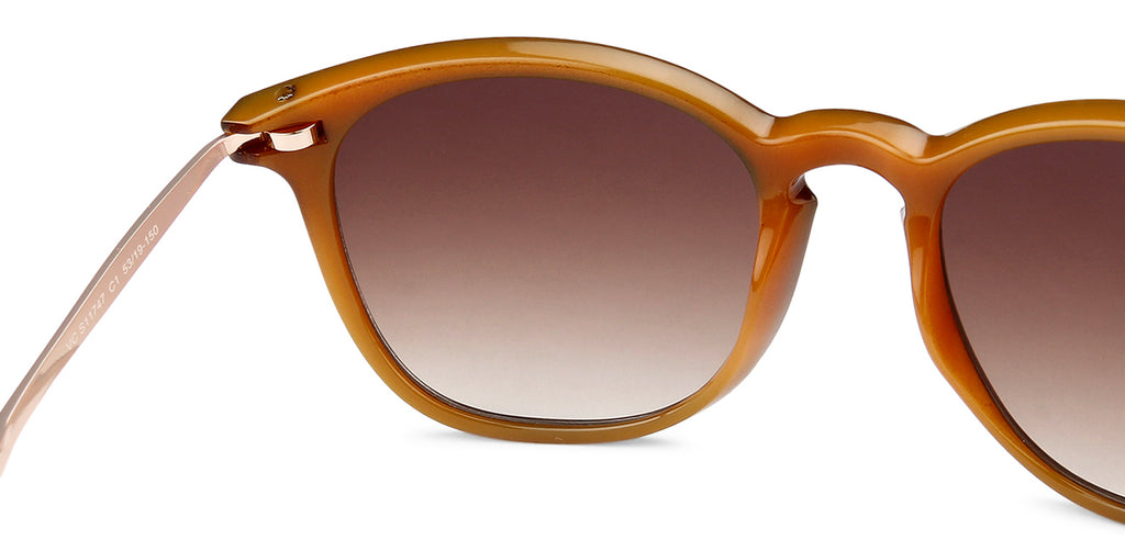 -Frame Wayfarer--SG -Frame Wayfarer--SG