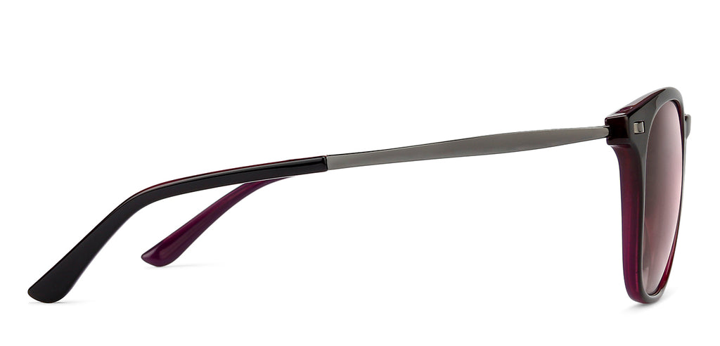 -Frame Wayfarer--SG -Frame Wayfarer--SG
