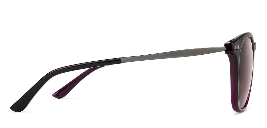 -Frame Wayfarer--SG -Frame Wayfarer--SG