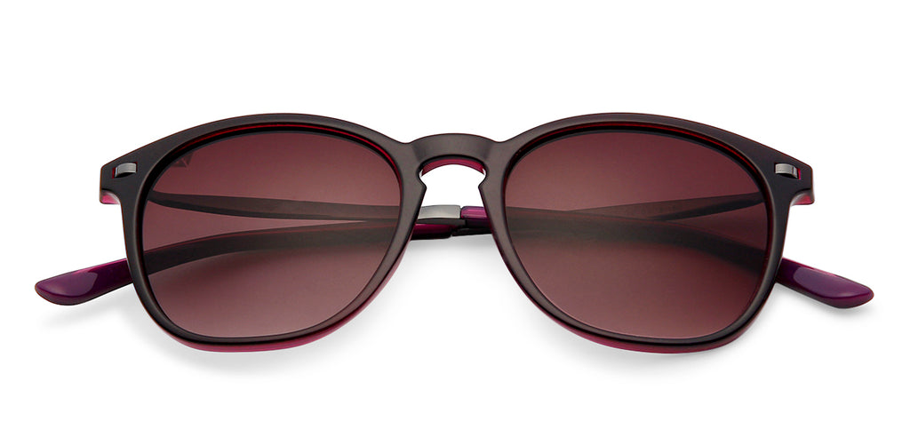 -Frame Wayfarer--SG -Frame Wayfarer--SG