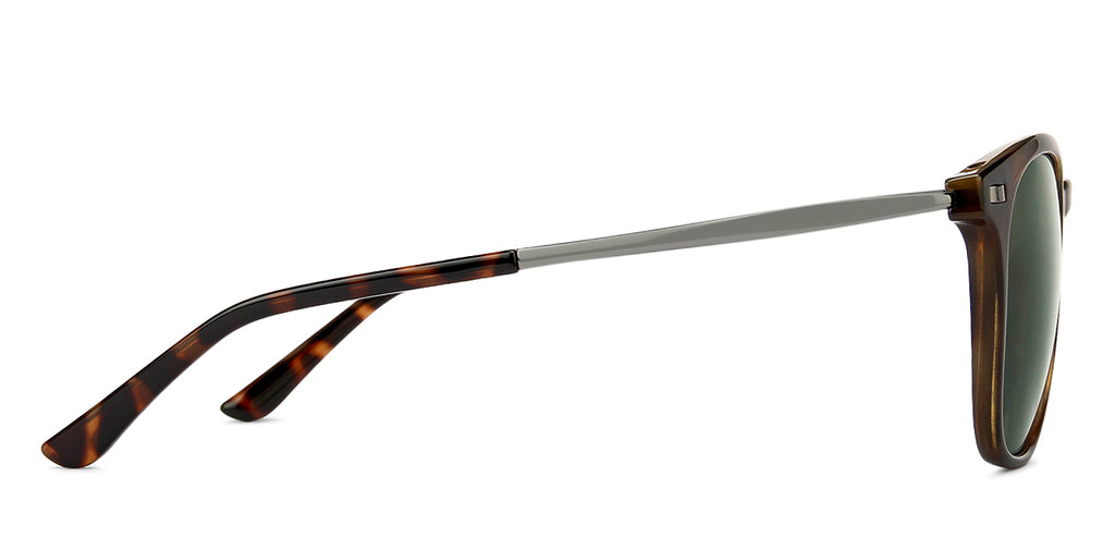 -Frame Wayfarer--SG -Frame Wayfarer--SG