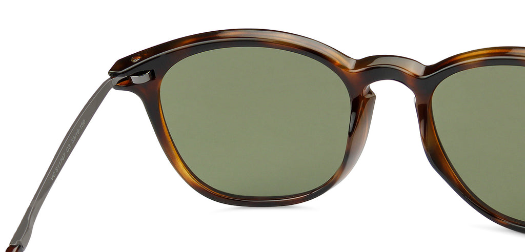 -Frame Wayfarer--SG -Frame Wayfarer--SG