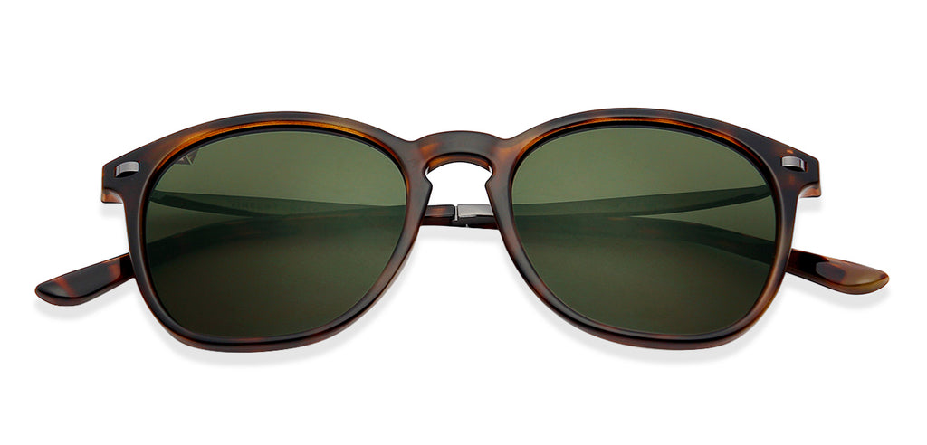 -Frame Wayfarer--SG -Frame Wayfarer--SG