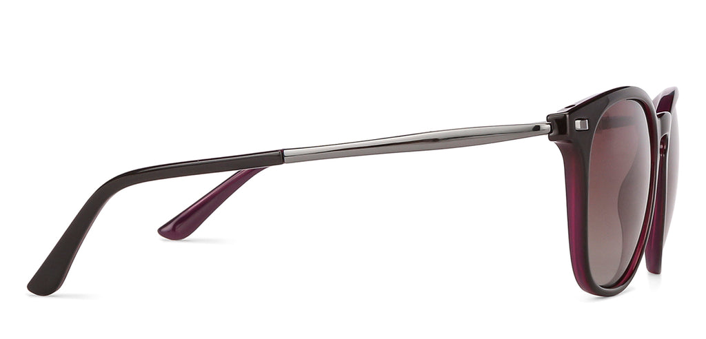 -Frame Wayfarer--SG -Frame Wayfarer--SG