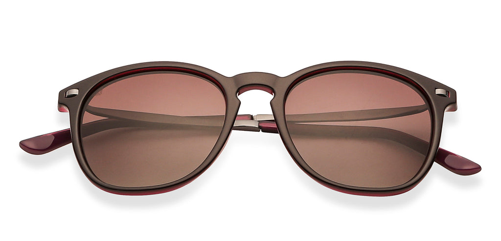 -Frame Wayfarer--SG -Frame Wayfarer--SG