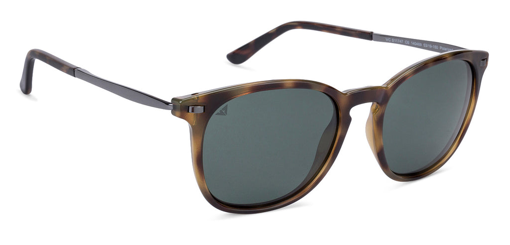 -Frame Wayfarer--SG -Frame Wayfarer--SG