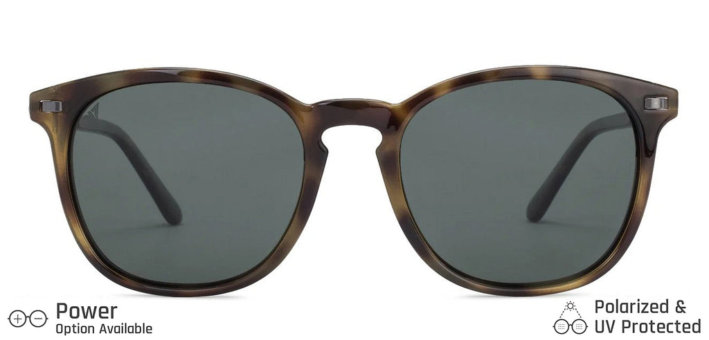 -Frame Wayfarer--SG -Frame Wayfarer--SG