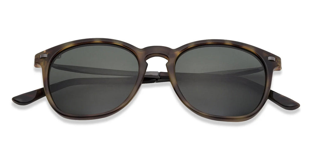 -Frame Wayfarer--SG -Frame Wayfarer--SG