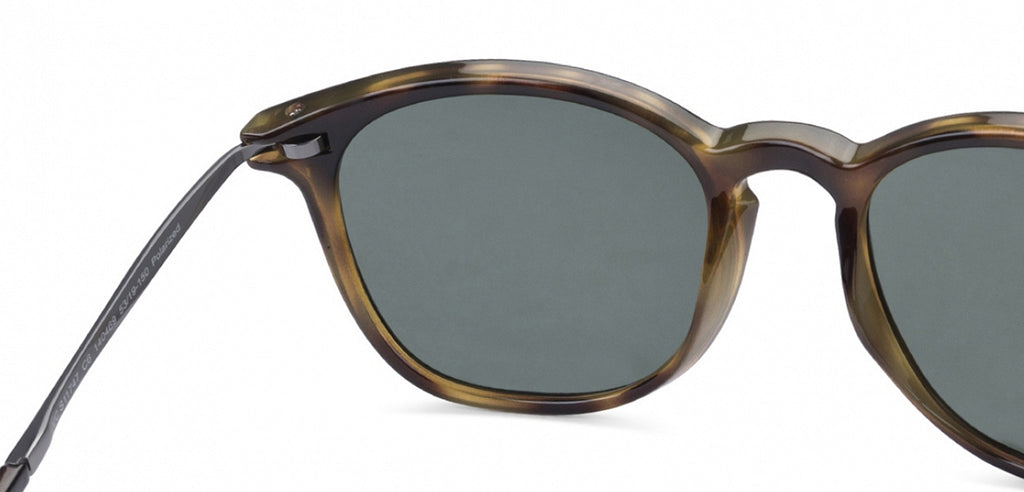 -Frame Wayfarer--SG -Frame Wayfarer--SG