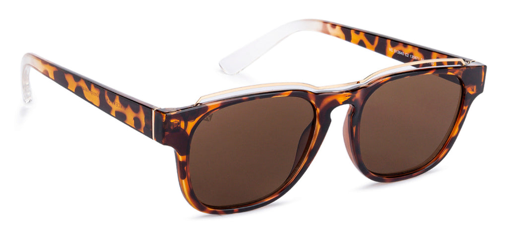 -Frame Wayfarer--SG -Frame Wayfarer--SG