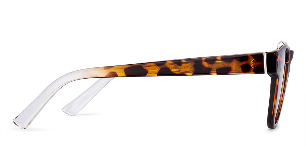 -Frame Wayfarer--SG -Frame Wayfarer--SG