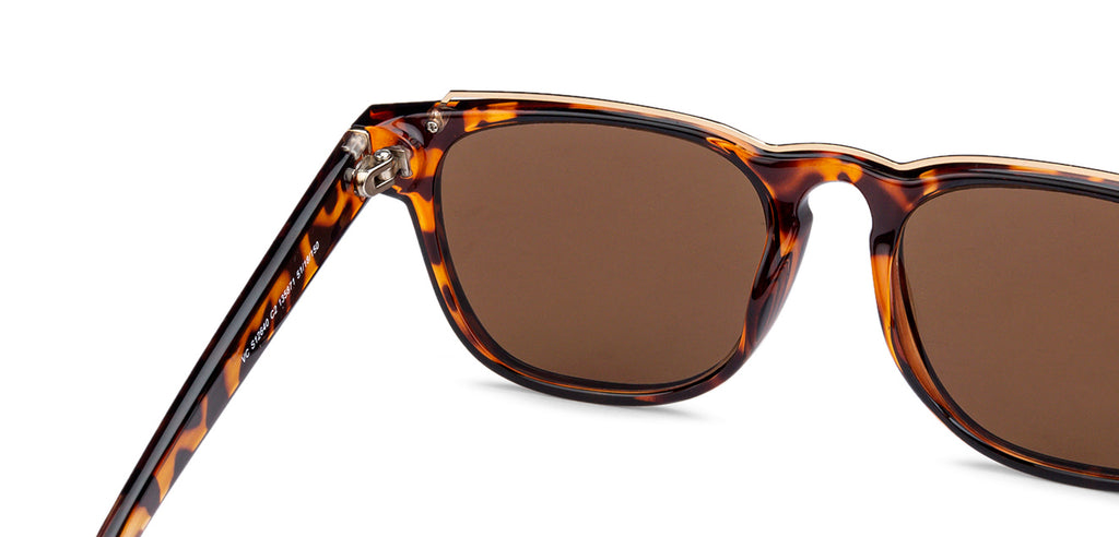 -Frame Wayfarer--SG -Frame Wayfarer--SG