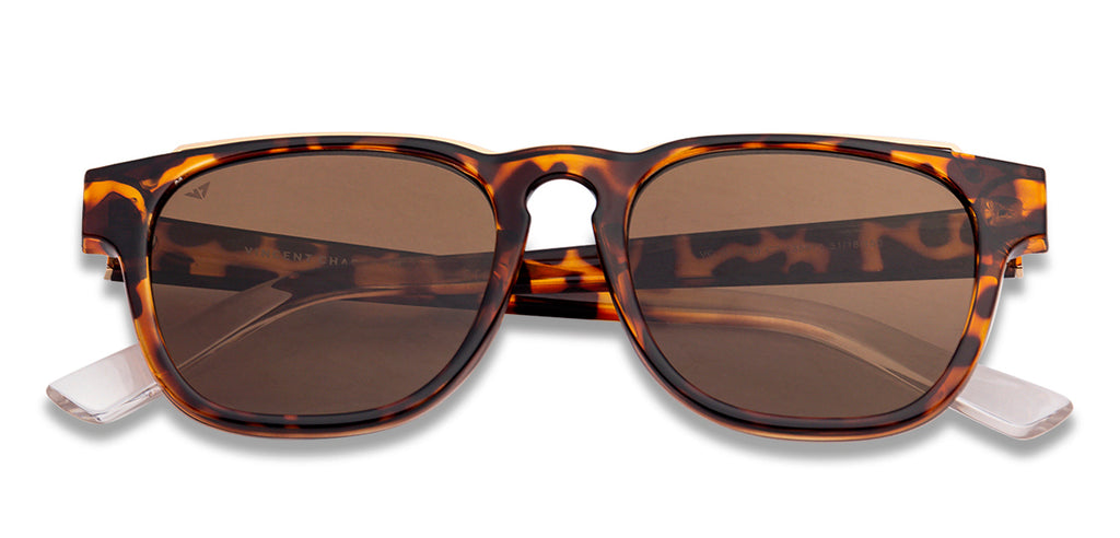 -Frame Wayfarer--SG -Frame Wayfarer--SG