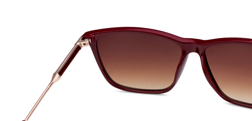 -Frame Wayfarer--SG -Frame Wayfarer--SG