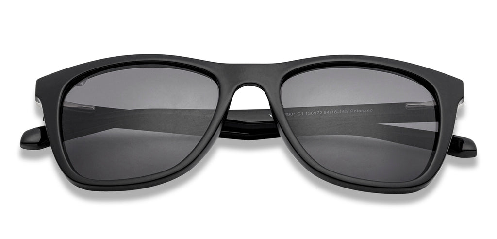 -Frame Wayfarer--SG -Frame Wayfarer--SG