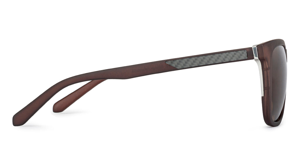 -Frame Wayfarer--SG -Frame Wayfarer--SG