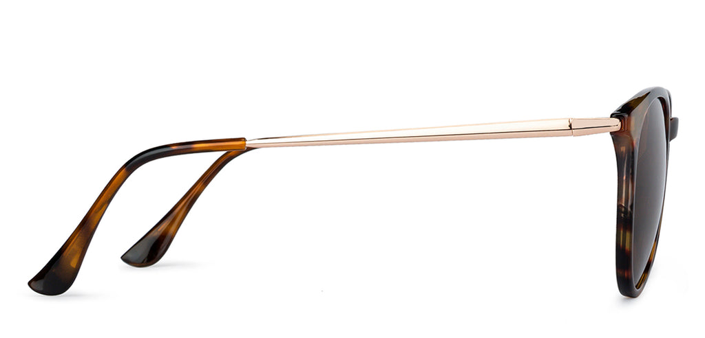 -Frame Round--SG -Frame Round--SG