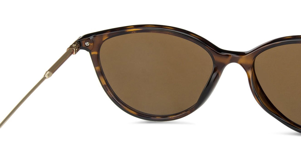 -Frame Cat Eye--SG -Frame Cat Eye--SG