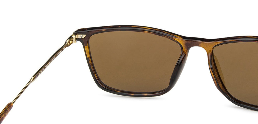 -Frame Wayfarer--SG -Frame Wayfarer--SG