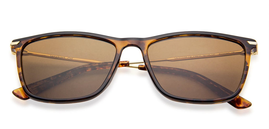 -Frame Wayfarer--SG -Frame Wayfarer--SG