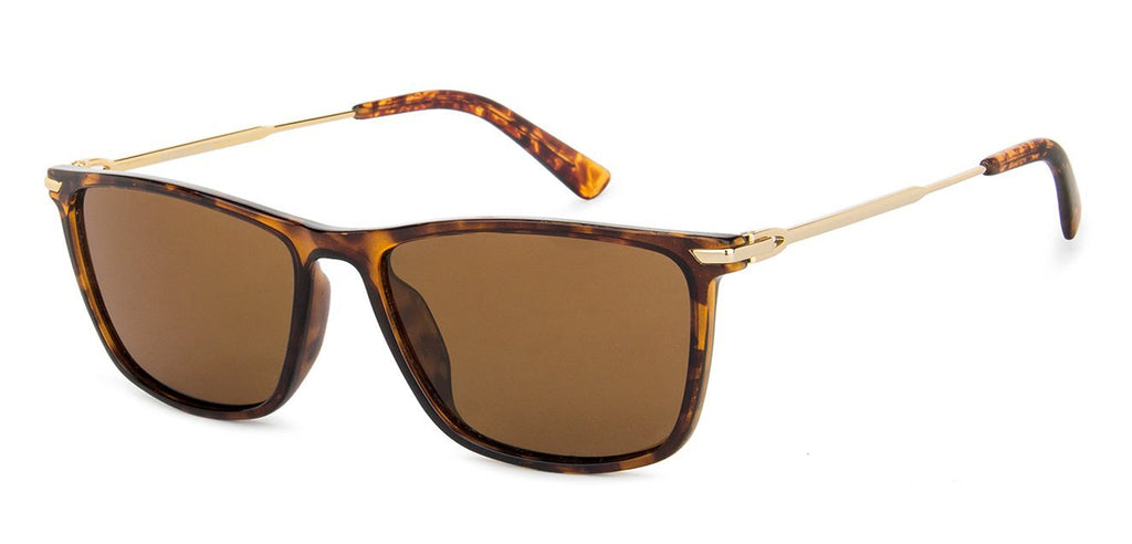 -Frame Wayfarer--SG -Frame Wayfarer--SG