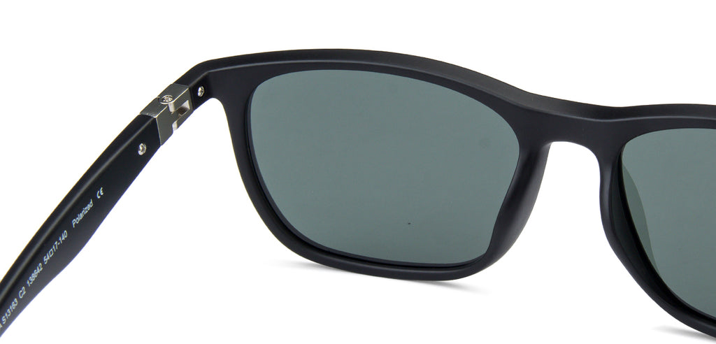 -Frame Wayfarer--SG -Frame Wayfarer--SG