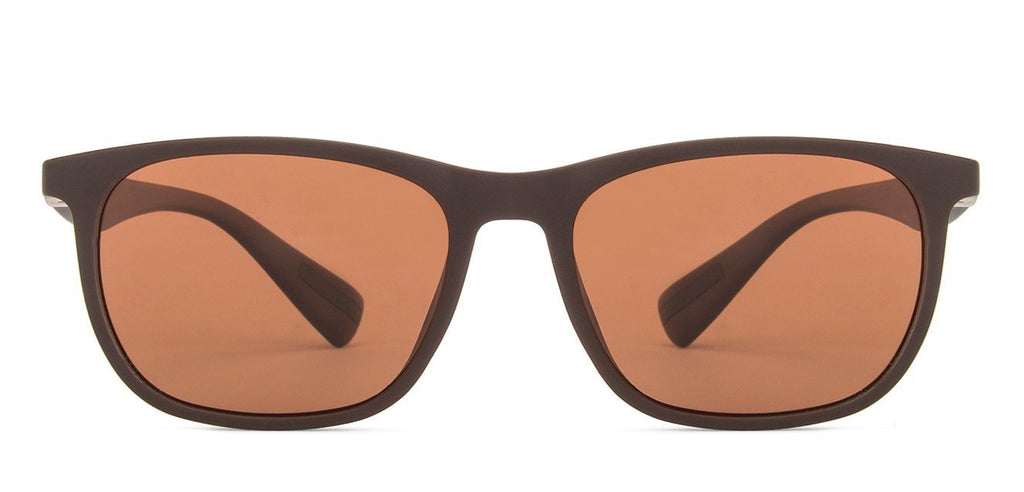 -Frame Wayfarer--SG -Frame Wayfarer--SG