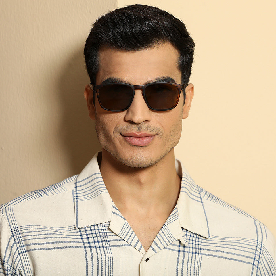 -Frame Wayfarer--SG -Frame Wayfarer--SG