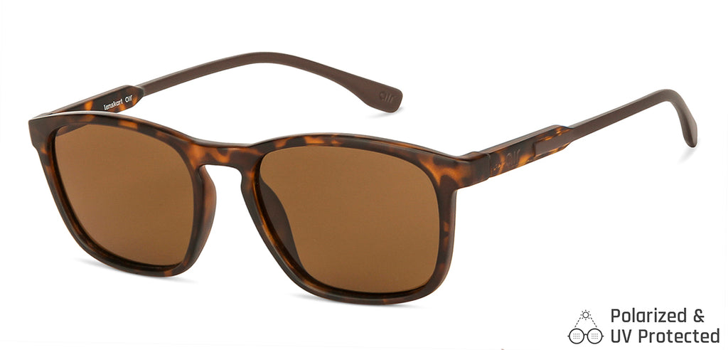 -Frame Wayfarer--SG -Frame Wayfarer--SG