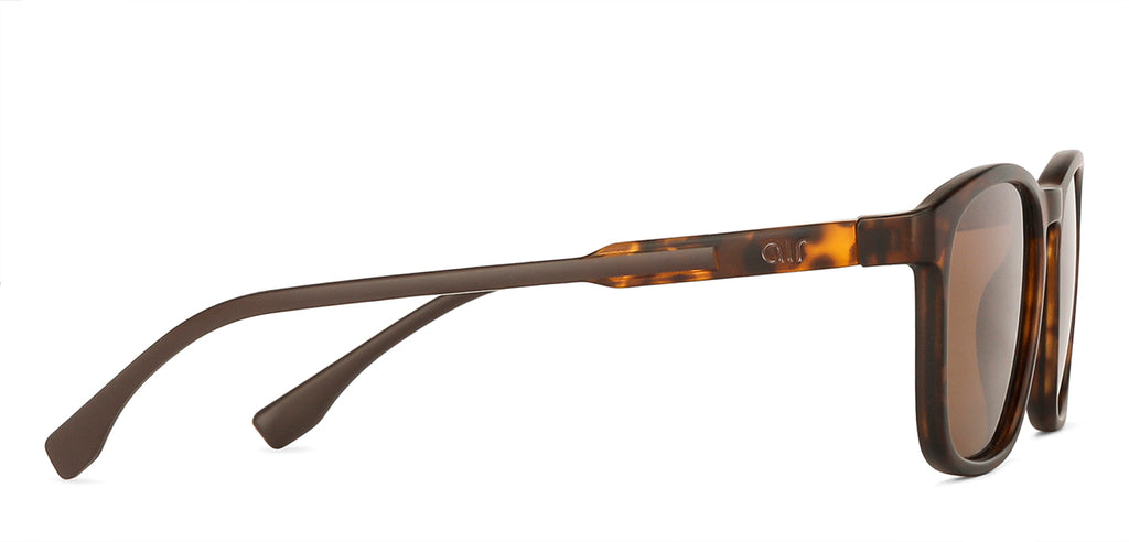 -Frame Wayfarer--SG -Frame Wayfarer--SG